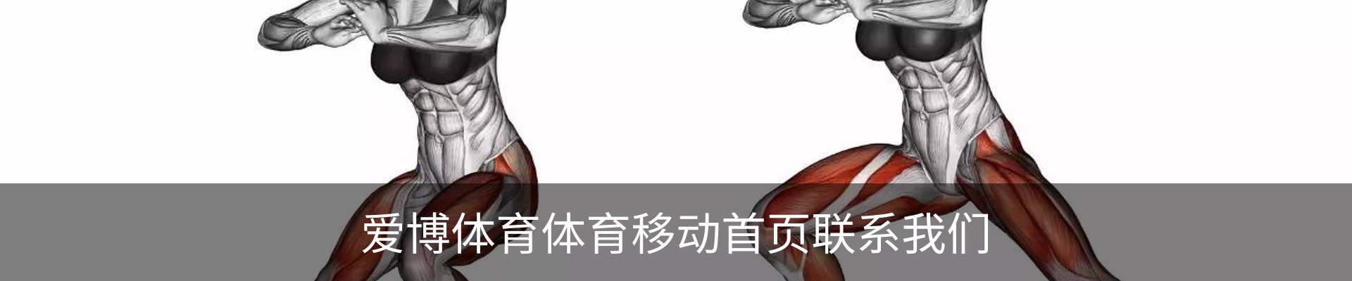 爱博体育体育移动首页联系我们